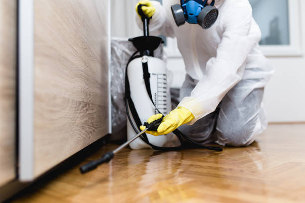 Best Wasp Removal Services  in Wolfhurst, OH