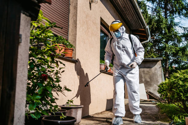 Best Best Pest Control Companies  in Wolfhurst, OH