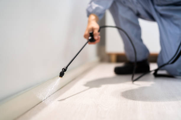 Best Pest Prevention Services  in Wolfhurst, OH
