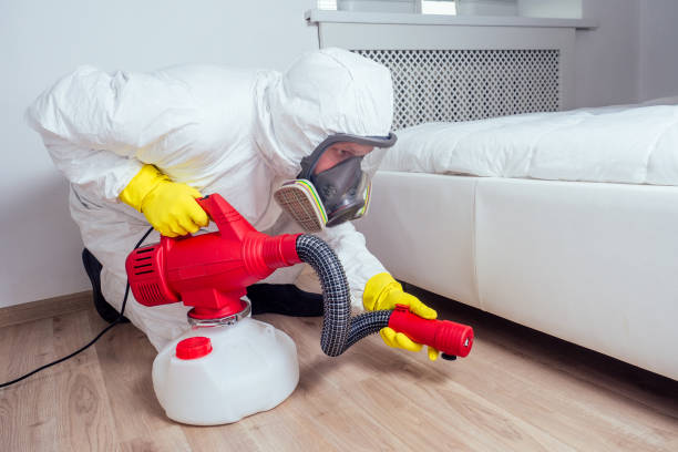 Best Pest Control Near Me in Wolfhurst, OH