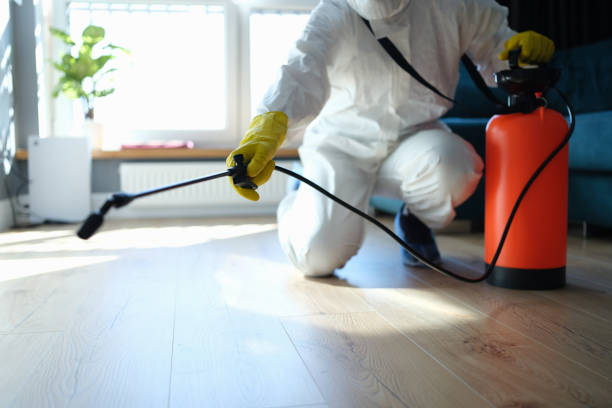 Best Local Pest Control Services  in Wolfhurst, OH