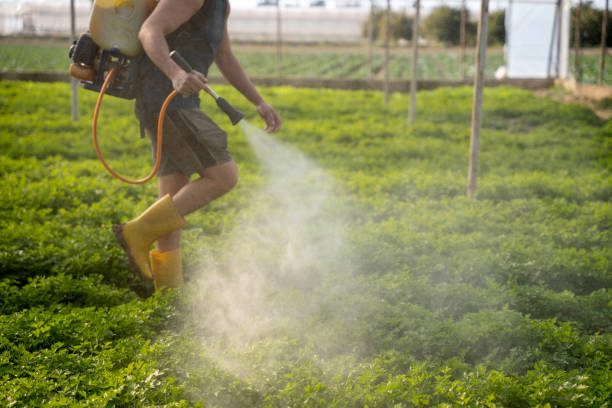 Best Affordable Pest Control Services  in Wolfhurst, OH