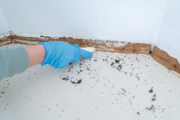 Best Residential Pest Control  in Wolfhurst, OH